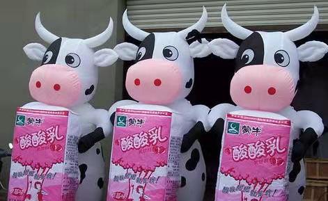 益阳牛奶厂广告气模